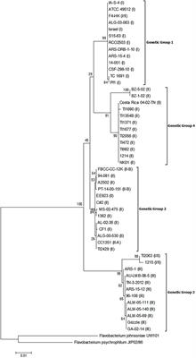 Identification of Four Distinct Phylogenetic Groups in <mark class="highlighted">Flavobacterium columnare</mark> With Fish Host Associations